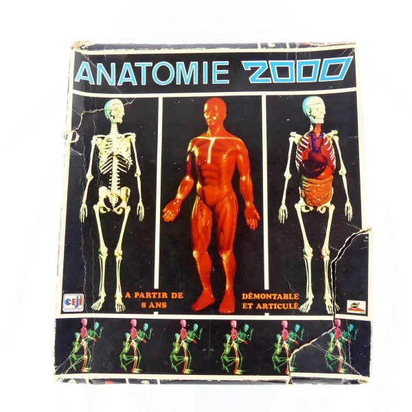 Interlude – Ceji Jeu éducatif Anatomie 2000 pas cher en ligne 1