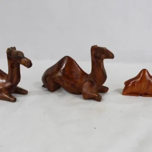 à prix imbattables Lot De 5 Statuettes Dromadaires En Bois 11